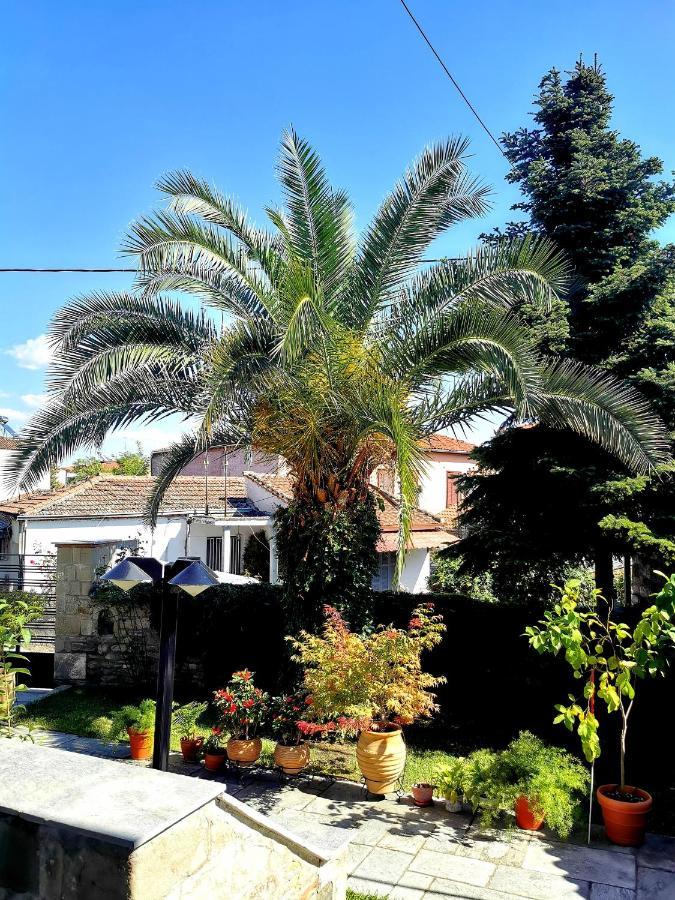 παραδοσιακή κατοικία-παλιά πόλη Villa Trikala (Thessaly)