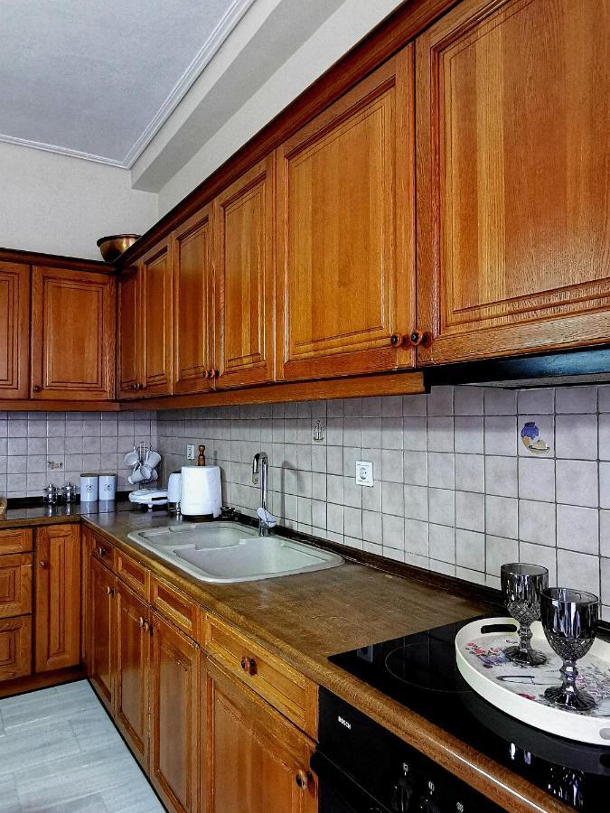 παραδοσιακή κατοικία-παλιά πόλη Villa Trikala (Thessaly)