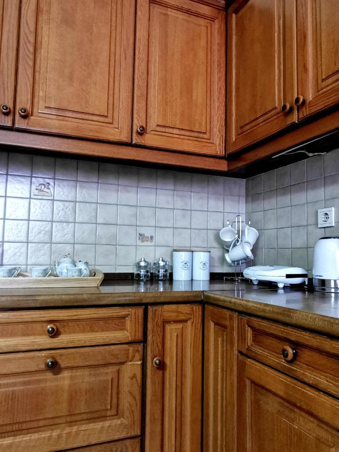παραδοσιακή κατοικία-παλιά πόλη Villa Trikala (Thessaly)